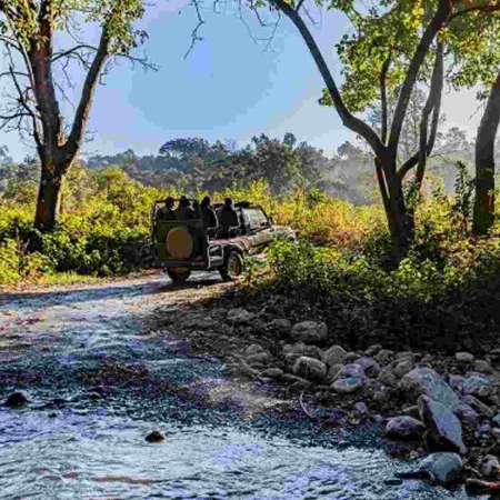 Tiger in Jim Corbett