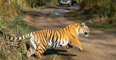 Best time to visit